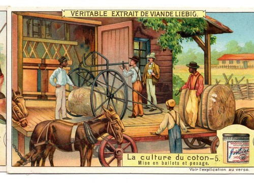 S952 chromo liebig 1909 - -,