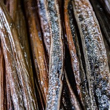 Gousses Vanille BIO BOURBON GOURMET MADAGASCAR 2025 - Direct producteur - 16 cm