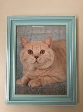 Cadre Sous Verre Chat pour toute photo 29,2cm X 23,2cm bleu turquoise