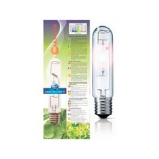 Ampoule / Lampe de culture