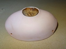 Collerette en biscuit poupée