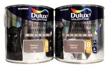 Lot Peinture DULUX VALENTINE "Goémon" 2 X 2L