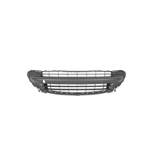 Grille pare choc - grille, avant