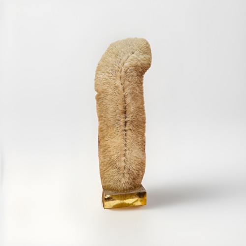 Sculpture corail veritable - en,
