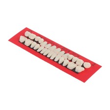 Dents artificielles en