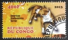 135.CONGO 2013 (400F) D'Occasion Tampon Chiens (Américain Staffordshire)