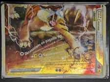 Carte Pokémon Entei & Raikou