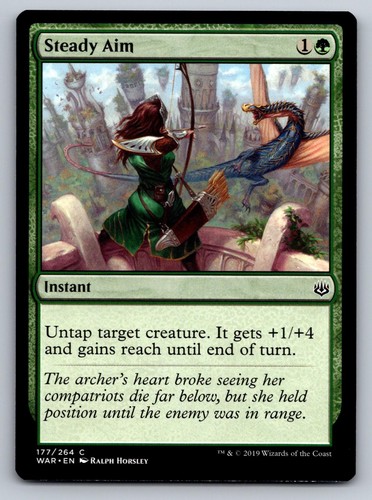 Steady aim 177 common - 177, of