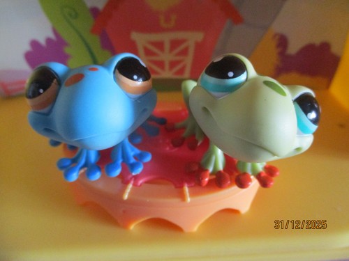 Petshop duo grenouilles 805 - petshop,