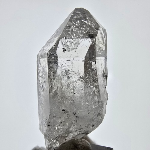 Sceptre poche - sceptre,