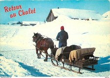 Animaux - Chevaux - Retour au chalet - Hiver - Neige - Traineau - Carte Neuve -