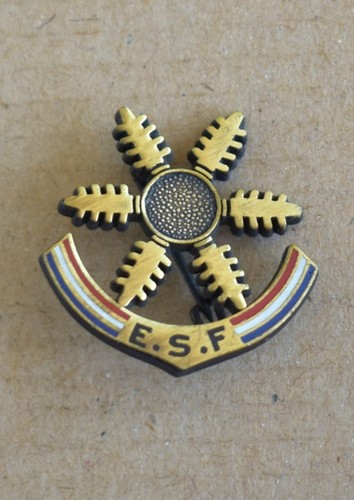 Bel insigne médaille ski - insigne, de