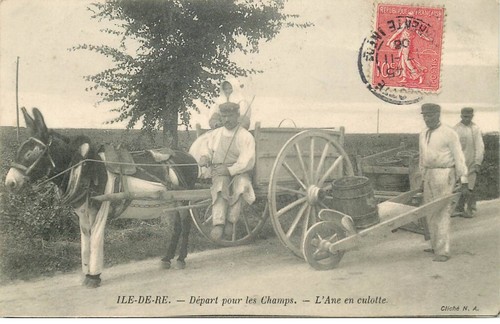 Charente maritime ile re - charente, de