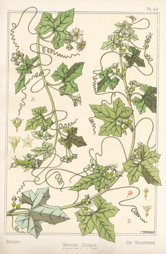 Eugène grasset 43 - pl.,