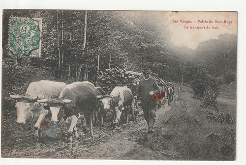 Vallee blanc rupt vosges - rupt,