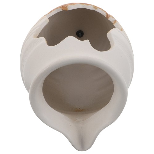 Accessoires pour aquariums - accessoires,