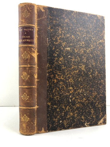 Grandville vie privée et - vie,