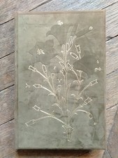 PLATEARIUS-LE LIVRE DES SIMPLES MEDECINES-Ed. Ozalid-1986-Botanique-