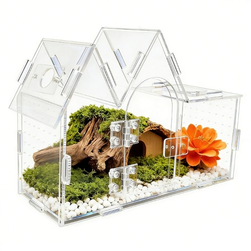 Transparent acrylic terrarium - acrylic,