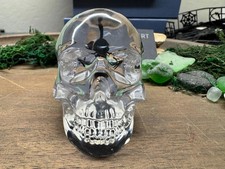 Clear Skull with Scorpion