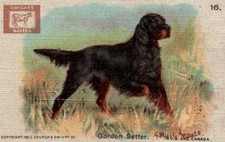 1910 John Dwight & Co