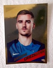 Vignette Panini Carrefour