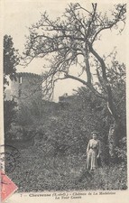 78 Chevreuse, le château de