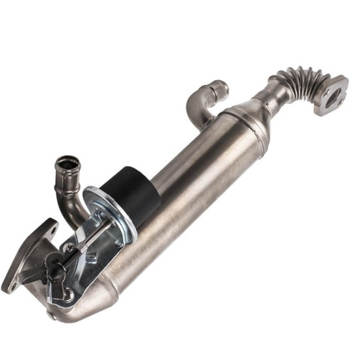 Vanne egr pour california - pour, vw