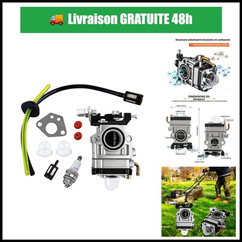 Carburateur tondeuse