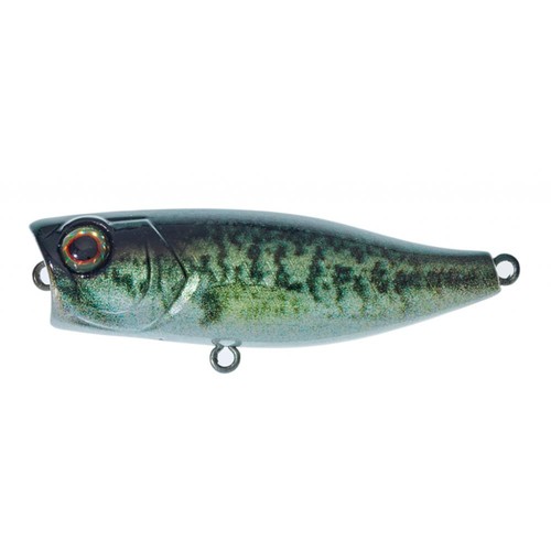 Illex chubby popper - popper, rt