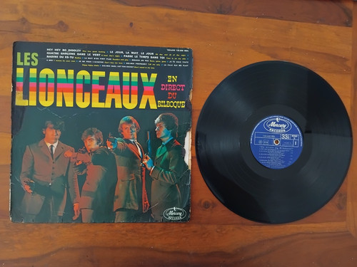 Les lionceaux direct - lionceaux, en
