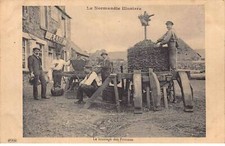 50 BRICQUEBOSQ #FG55380 BRASSAGE DES POMMES  NORMANDIE ILLUSTREE CAFE ADAM