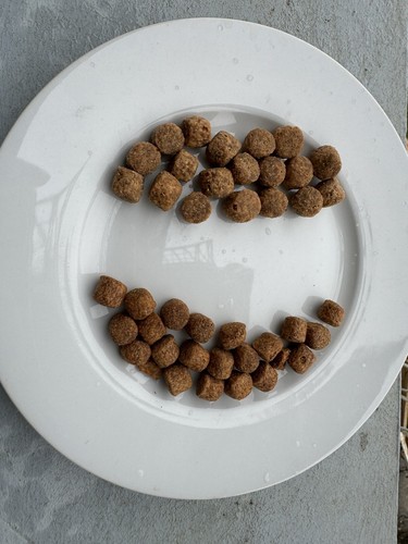 Pellets carpe expander - 1,