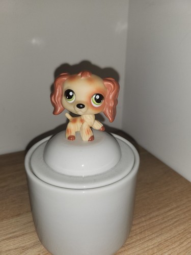 Authentic littlest pet - pet, shop