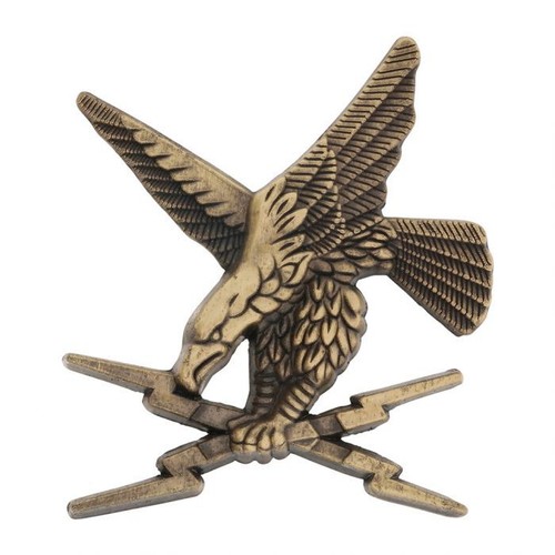 Veritable insigne brevet - insigne,