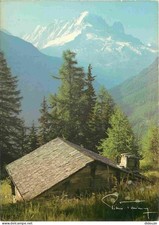 73 - Savoie - Chalet d'alpage l'Aiguille Verte et les Drus - CPM - Voir Scans Re