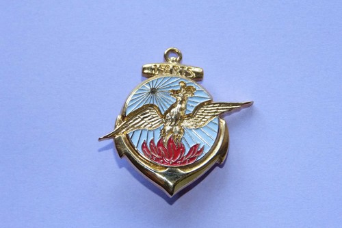 Insigne regiment 15ème rts - insigne, rts"