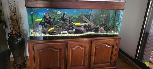 Aquarium complet 600l avec - complet,