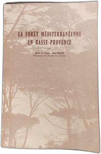 Forêt méditerranéenne en - méditerranéenne,
