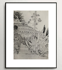 SUPERBE VUE DU VIGNOBLE PUYPIN