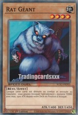 Yu-Gi-Oh! [SD] Rat Géant : C SGX1-FRD03