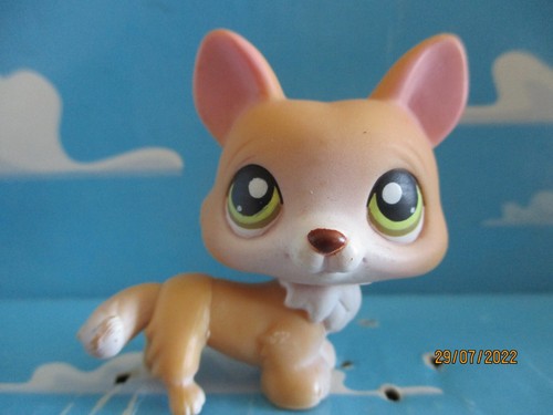 Petshop chien corgi 183 - chien, n°183
