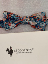 Lot de noeud papillon