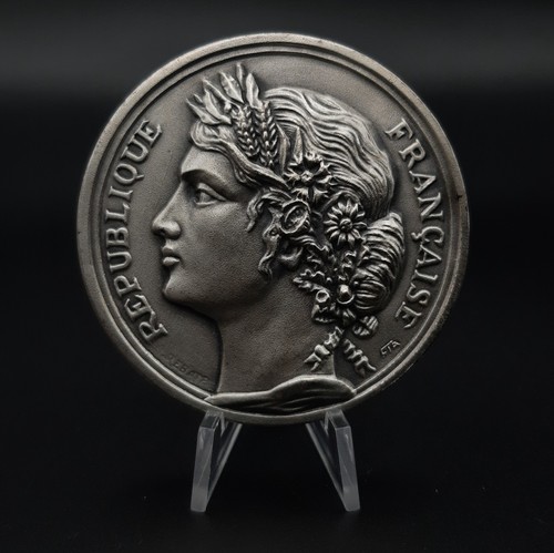 Médaille bronze argenté - médaille, en