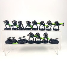 x14 Guerriers + Scarabés