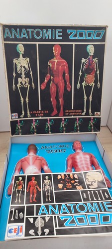 Ceji jeu éducatif anatomie - ceji,