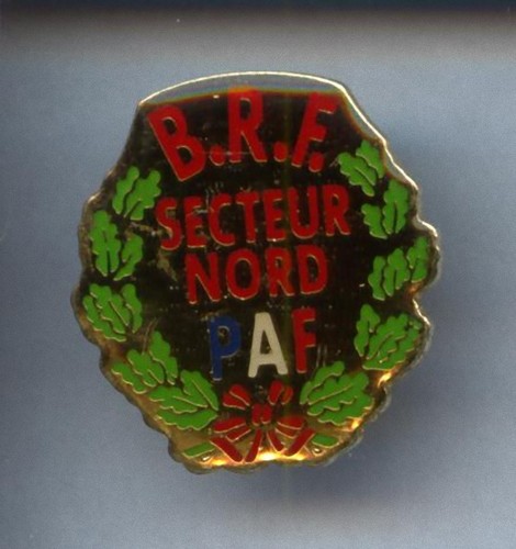 Rare pins pin police nat - ..,