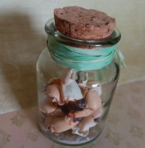 Unique jar real beach combed - unique,