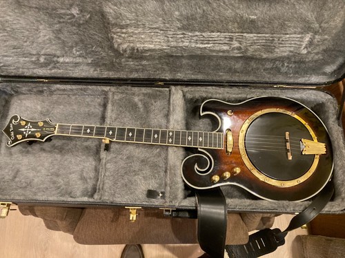 Gold tone emb electric banjo - emb-5,