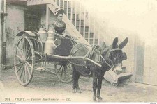 Reproduction CPA - 03 Vichy - Laitière Bourbonnaise - Attelage d'Anes - CPM form